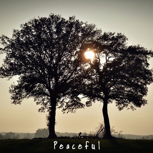 Peaceful_poster_image