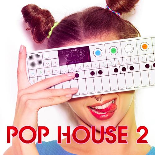 Pop House 2_poster_image