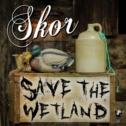 Save the Wetland_poster_image