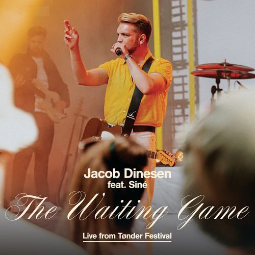 The Waiting Game (Live from Tønder Festival)_poster_image