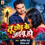 Tu Chhod Ke Jaibu Ho