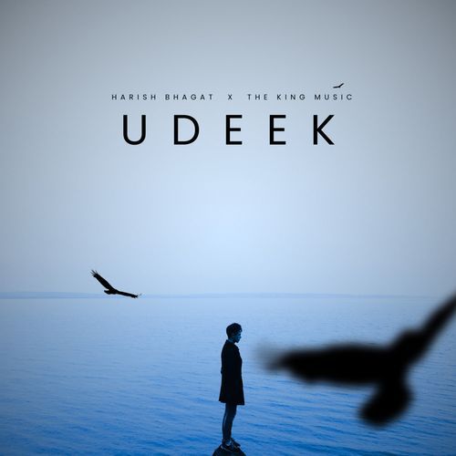 Udeek