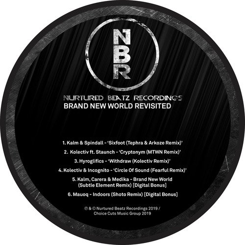 Brave New World (Subtle Element Remix) cover art