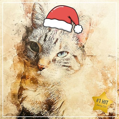 Cat Christmas (feat. Jordan Brown)