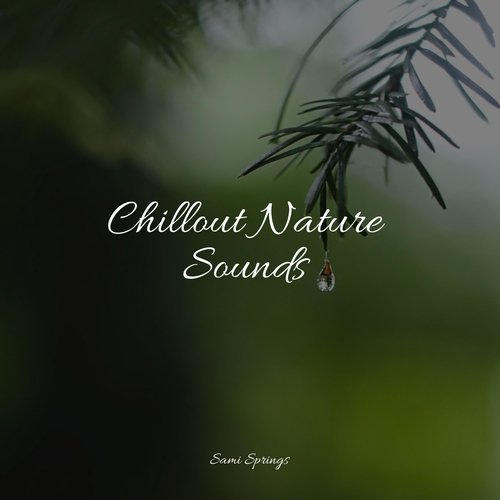 Chillout Nature Sounds_poster_image