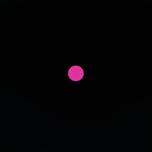 Oui Oui cover art