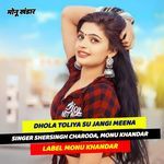 Dhola toliya su jangi meena