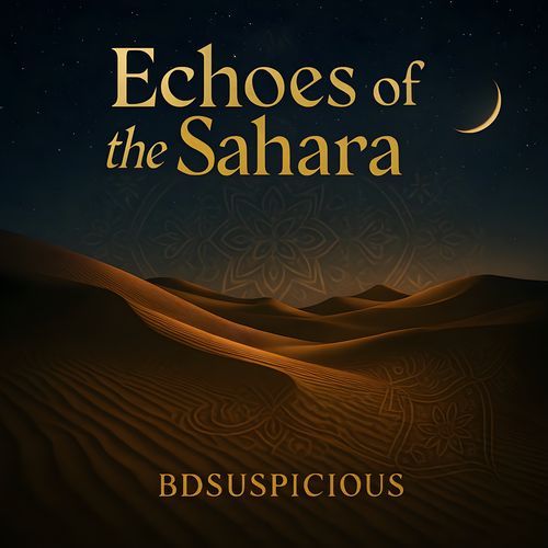 Shams Rising cover art