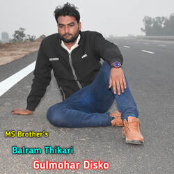 Gulmohar Disko-EQMNYRpgc34