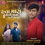 Hata Mara Have Bija Na Re Thai Gya