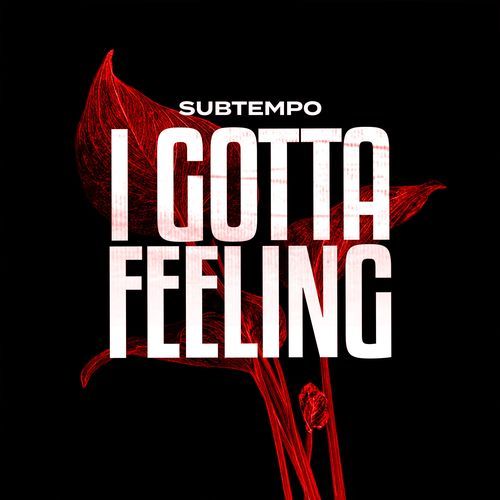 I GOTTA FEELING (DnB)