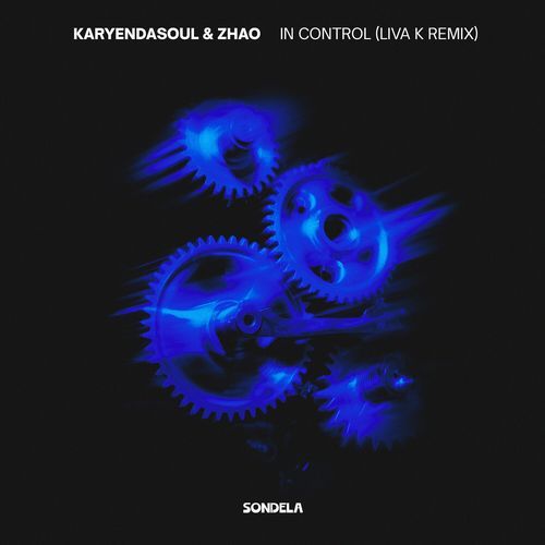 In Control (Liva K Remix) cover art
