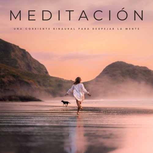 Proceso De Sanación cover art
