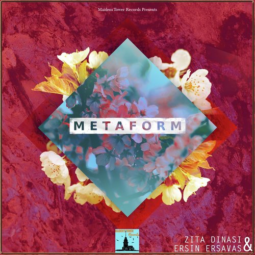 Metaform_poster_image