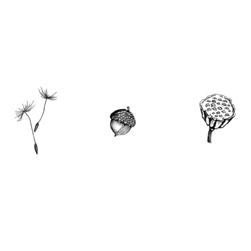Antigenesis cover art