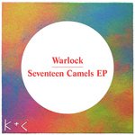 Seventeen Camels
