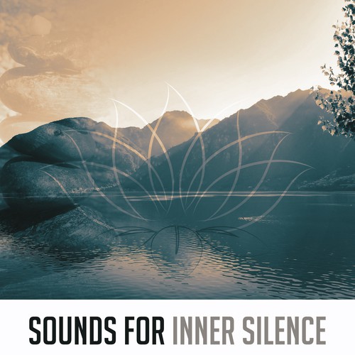 Relaxation Zone cover art