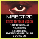 Stick To Your Vision (Extended Vision)