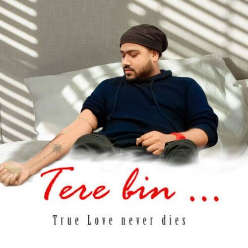 Tere bin