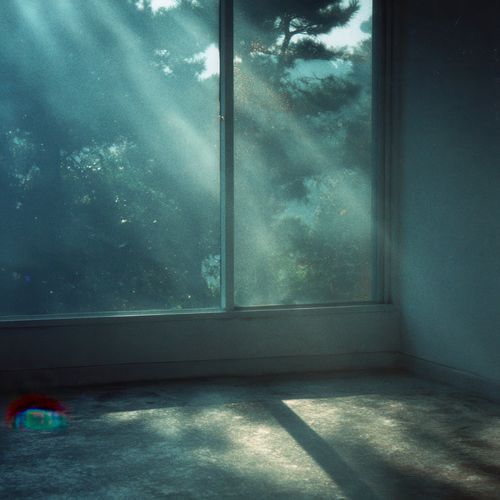 The Quiet Green of Memory