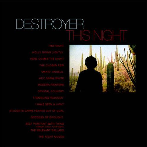 I Have Seen a Light cover art