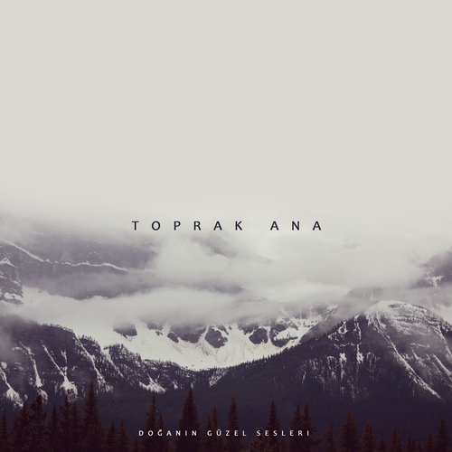 Ağaçkakan Sesi cover art