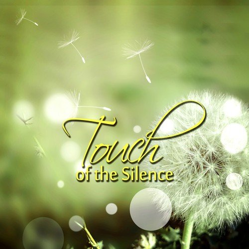 Touch of the Silence - Soothing Background Music for Restful Sleep, Meditation, Massage, Reduce Stress, Study, Reiki Healing, Body and Soul, Relaxation Therapy