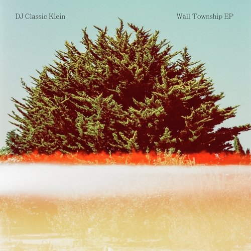 Kleindemic cover art