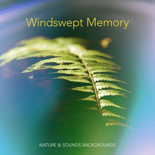 Storms Surround cover art