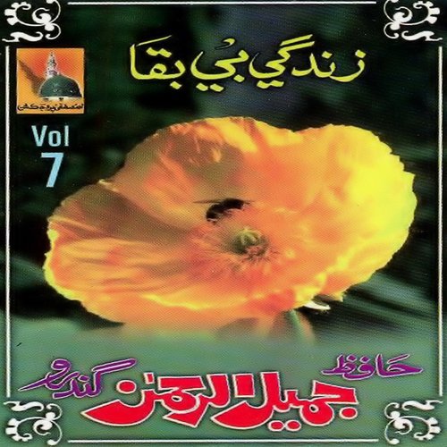 Zindagi Be Baqa, Vol. 7