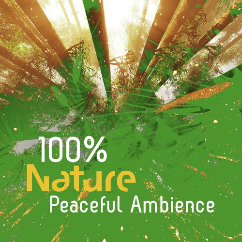Riverside Peace cover art