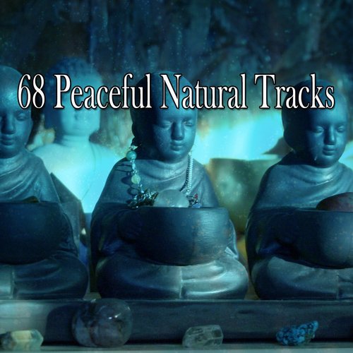68 Peaceful Natural Tracks