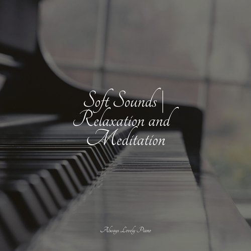 Calm & Soothing Piano Music for Relaxation