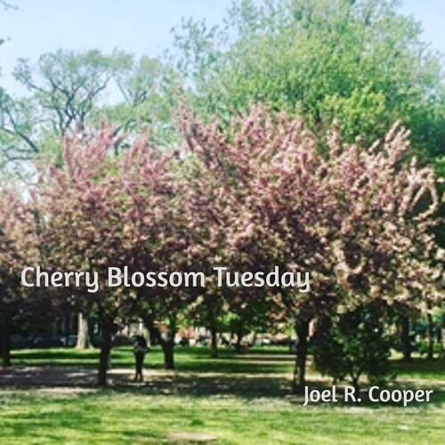 Cherry Blossom Tuesday