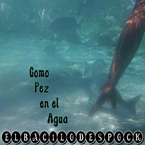 El Ensueño de la Sirena cover art