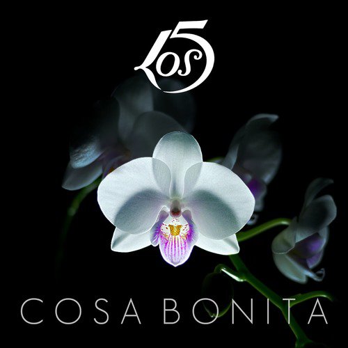 Cosa Bonita_poster_image