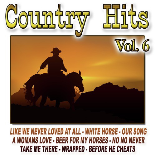 Country Hits Vol.6