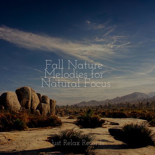 Fall Nature Melodies for Natural Focus