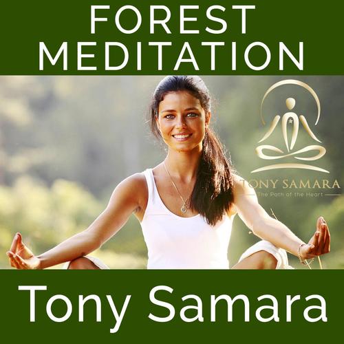 Forest Meditation (Self Realisation Yoga Development Affirmations Consciousness Healing Joy WellBeing Inner Peace)
