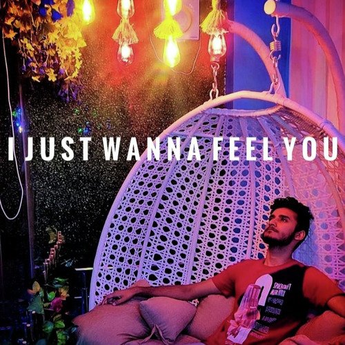 I Just Wanna Feel You