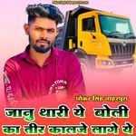 Janu Thari Ye Boli Ka Teer Kalje Lage Ye