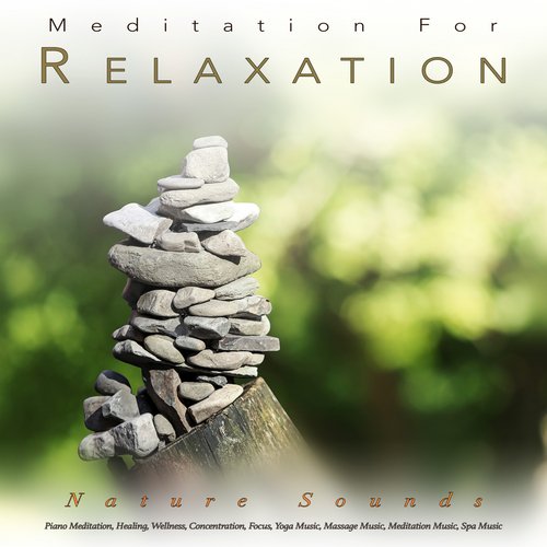 Meditation and Relaxation: Piano and Nature Sounds For Meditation, Healing, Wellness, Concentration, Focus, Yoga Music, Massage Music, Meditation Music, Spa Music and Relaxation Music_poster_image