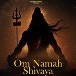 Om Namah Shivay