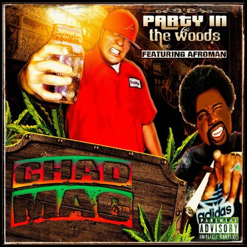 Party in the Woods (feat. Afroman)_poster_image