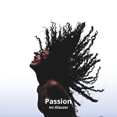 Passion (Radio Edit) Lyrics  - Only on JioSaavn