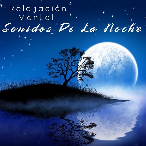 Relajación Mental Con Sonidos De La Noche