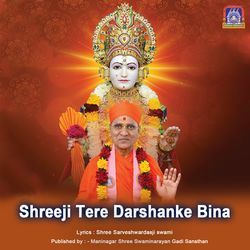 Shreeji Tere Darshanke Bina