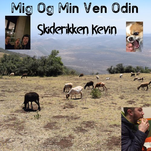 Danny (Dum Idiot Part II) cover art