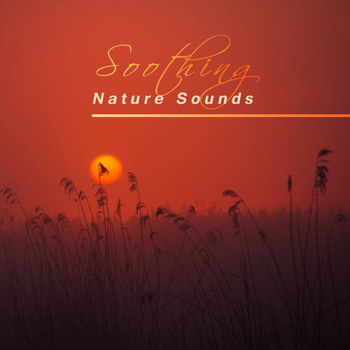 Relaxing Water cover art