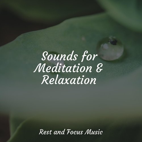 Sounds for Meditation & Relaxation